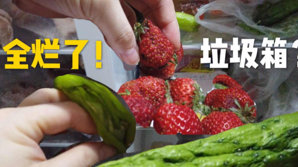 全职UP主有多宅?烂了一冰箱,最后竟在垃圾堆里找食物!